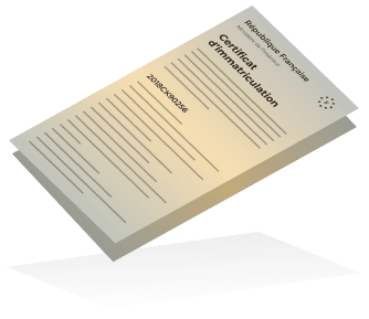 Carte grise française